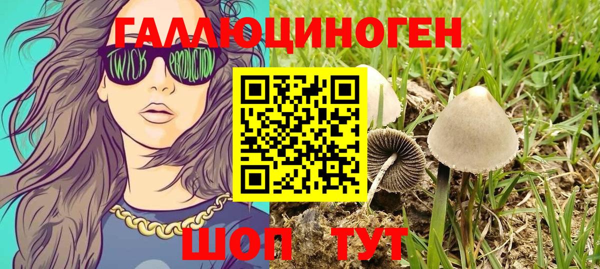 Сибай  Псилоцибиновые грибы MAGIC MUSHROOMS  Вход с VPN 